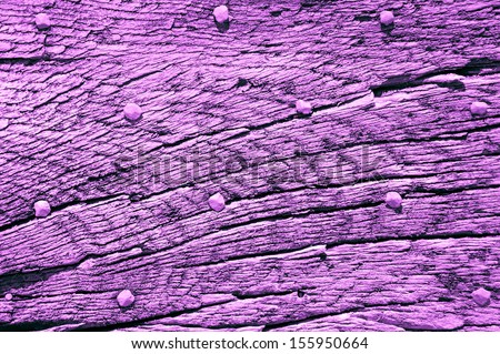Old violet wooden texture with nail heads and cracks.