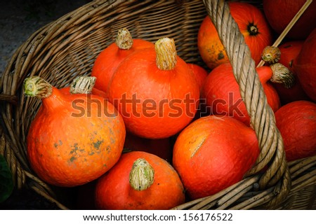 Small orange gourds in a wicker basket.  Fresh organic produce from a local farmers market in Paris.