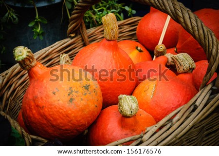 Small orange gourds in a wicker basket.  Fresh organic produce from a local farmers market in Paris.