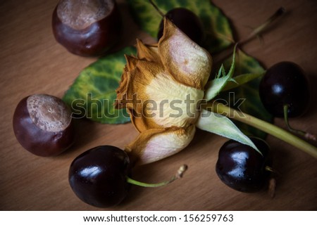 Still life with faded rose, cherries and chestnuts. Autumn background.