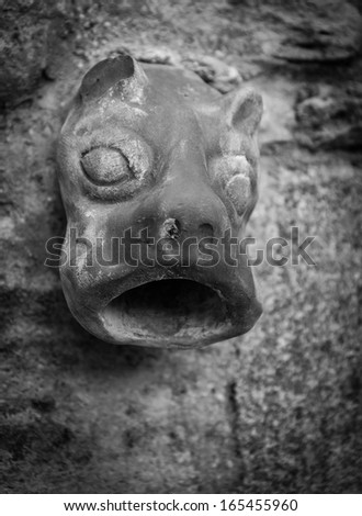 Old ceramic downspout in shape of beast head against stone wall. Closeup. Black and white.