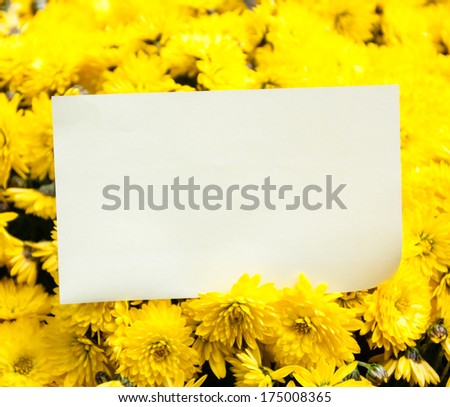 Blank note attached to a beautiful bouquet of yellow daisies. Thank you or greeting card idea.