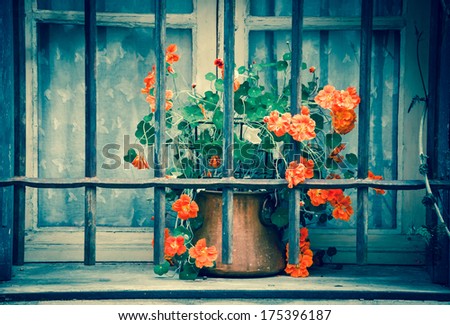 Orange curly flowers in copper pot placed behind the rusty lattice on a grungy sill of the stone house. Closed window with lace curtain and wooden shutters. (Arles, Provence, France) Toned image.