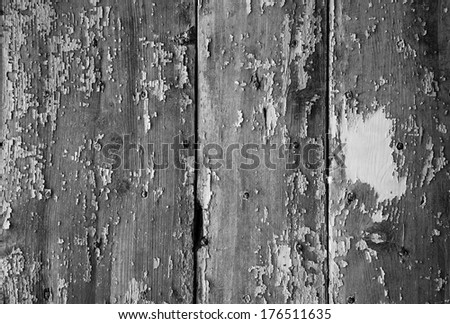 Texture of weathered wooden lining boards with peeling paint and rusty nail heads. Black and white.
