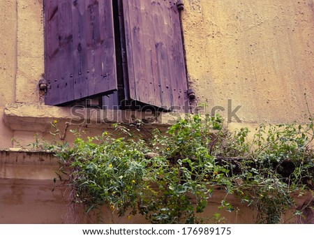 Old typical Mediterranean house exterior with weathered violet wooden shutters and stucco wall with peeling paint. Abandoned old house overgrown with weeds and yellow flowers . Decay and time concept.