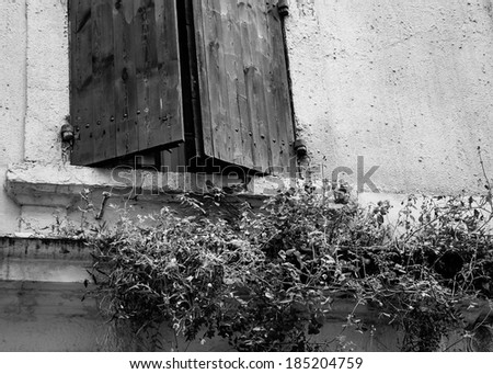 Old typical Mediterranean house exterior with weathered wooden shutters and stucco wall with peeling paint. Abandoned old house overgrown with weeds and flowers . Decay concept. Aged photo.