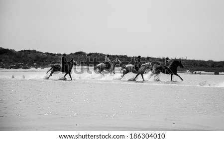 CAMARGUE, FRANCE - MAY 2, 2013: Three unidentified women and man ride on horses at the sea. Horse riding is one the popular ways to discover Camargue National Park .
