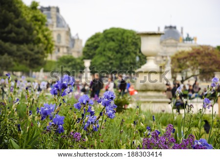 Tuileries Garden (Paris, France) in spring.   Illustration for idea 
