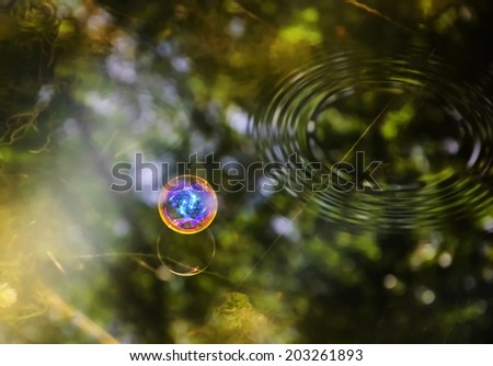 Colorful soap bubble and its reflection on the water surface lit by sunbeams. World Creation / Nature Fragility / Save the Earth concepts.