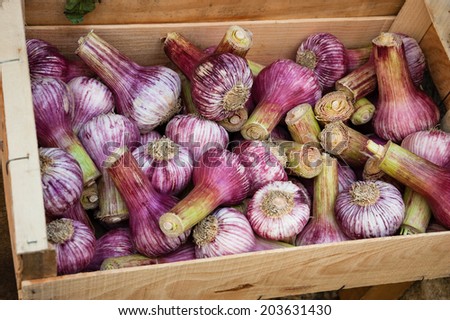 Violet  spring garlic in wooden box for sale at farmer\'s market in Provence (France). Harvest background.