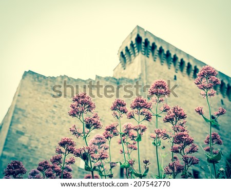 Ruins of the medieval castle and pink wild garlic flowers. (Chateauneuf du Pape, Provence, France) Nature and architecture background. Selective focus on the flowers. Aged photo.