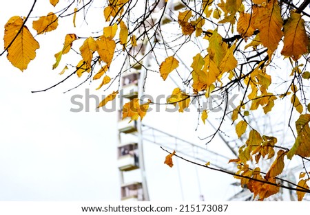 Autumn in Paris. Branches with golden leaves and ferris wheel silhouette at background. Selective focus on the leaves.