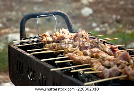 Marinated turkey shashlik on wooden skewer on the grill. Backyard party background.
