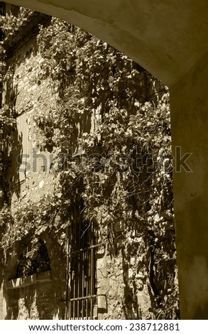 An old house overgrown with grape vine. A view through the street arch in ocher village Roussillon (Provence-Alpes-Cote d\'Azur, France). Aged photo. Sepia.