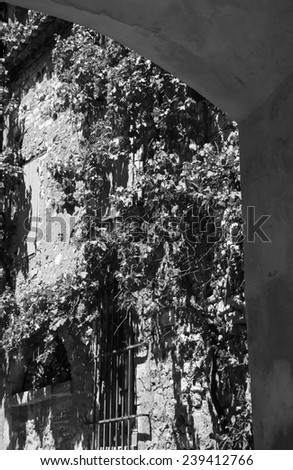 An old house overgrown with grape vine. A view through the street arch in ocher village Roussillon (Provence-Alpes-Cote d'Azur, France). Aged photo. Black and white.