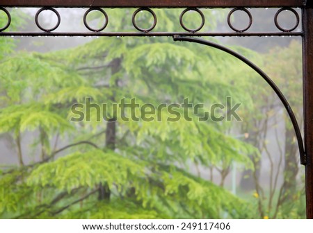 View on the forest through the forging window frame with water drops. After rain tranquil scene.