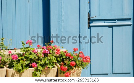 A wooden house door and geranium flowers in the boxes in sunny day. Brittany, France