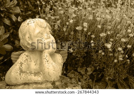 Weathered statue of an infant angel in overgrown garden. Aged monochrome photo. Sepia.