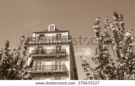 Spring in Paris. Typical Parisian buildings (Marais quarter) and blossoming trees. Aged photo. Sepia.