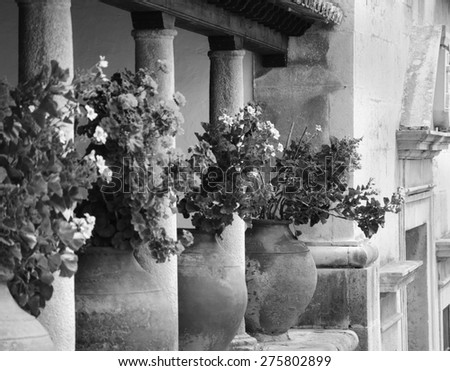 Geranium flowers in big ceramic pots between the columns at the terrace of old house. Obidos, Portugal. Selective focus on remote flowerpot. A game of light and shadow. Aged photo. Black and white.