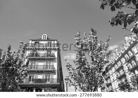 Spring in Paris. Typical Parisian buildings (Marais quarter) and blossoming trees. Aged photo. Black and white.