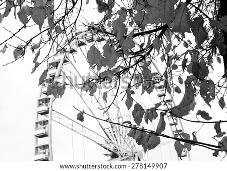 Autumn in Paris. Branches with faded leaves and ferris wheel silhouette at background. Selective focus on the leaves. Aged photo. Black and white.