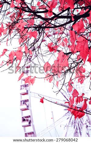 Autumn in Paris. Branches with faded leaves and ferris wheel silhouette at background. Selective focus on the leaves. Toned photo.