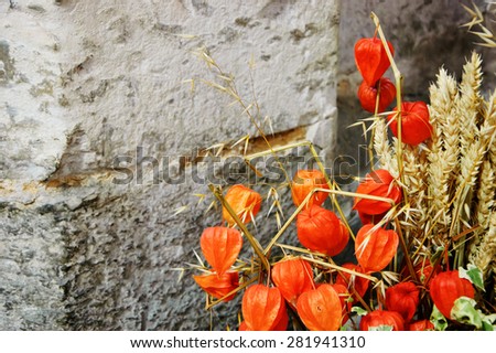 Memorial background. Bouquet with dried physalis flowers and oat and wheat spikes beside the grave stone.