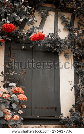 Rose and hydrangea bushes overgrowing half timbered house. French countryside. Aged photo. Black and white. A game of light and shadow.