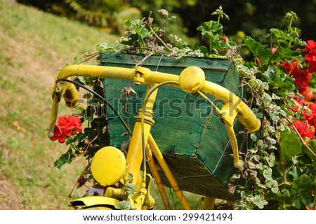 Yellow painted old bicycle with a geranium flowers in wooden box. Garden vintage decoration.
