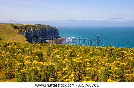 Famous chalk cliffs at Cote d\'Albatre (Alabaster Coast) overgrown with wild yellow flowers. Etretat, France
