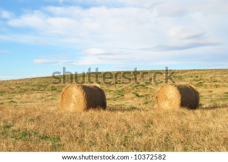 two rolls of hay on field