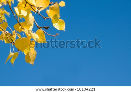 Fall deco with blue sky background