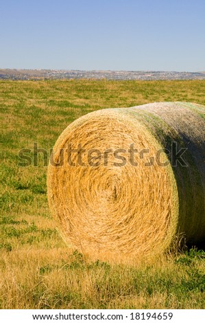 roll of hay on field with blue sky background