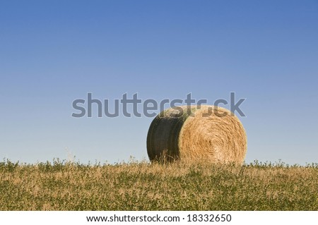 abstract of a roll of hay on field against blue sky background