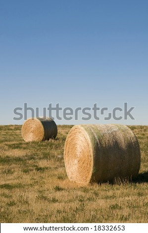 two roll of hay on field