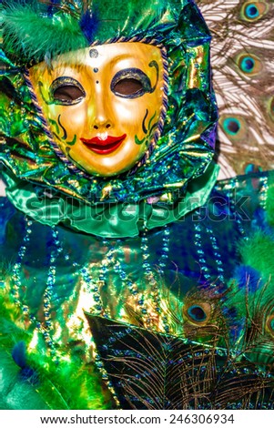 SCHWAEBISCH-HALL, GERMANY - February 23, 2014 - Person, dressed up in a Venetian style peacock costume attends the Hallia Venetia Carnival festival on February 23, 2014 in Schwabisch-Hall.