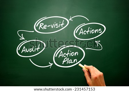 Four steps of the audit process in order to audit a company on blackboard