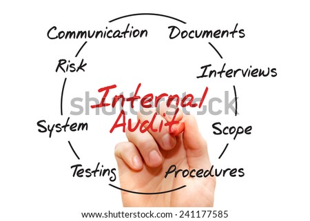 Internal Audit process chart, business concept