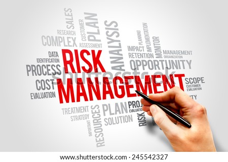 Risk management words cloud, business concept