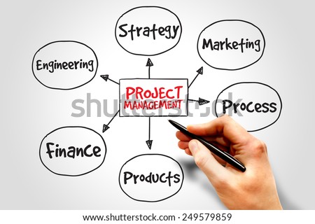 Project management process mind map, business concept