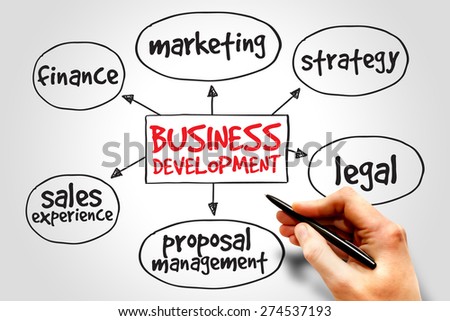 Business development mind map, business concept
