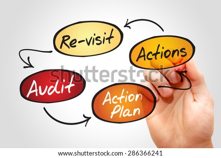 Four steps of the audit process in order to audit a company, business concept