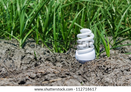 concept light bulb between drought land and green grass. soft focus