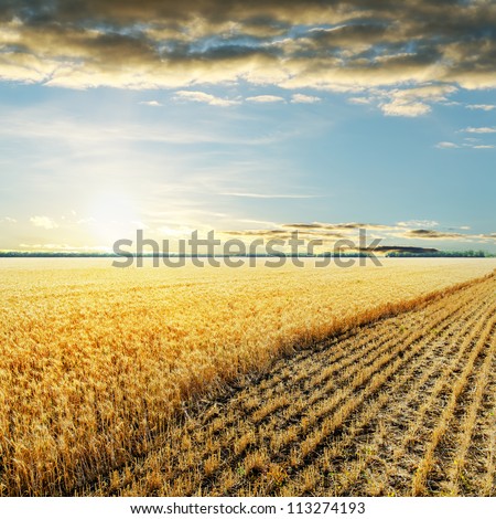 sunset over wheat field sunset over wheat field