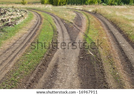 rural road fork