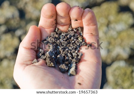 handful of black earth