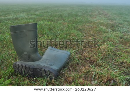Rain boots, rubber boots standing on a wet meadow. Fog in the morning