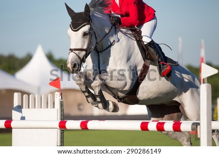 Equestrian Sports, Horse Jumping