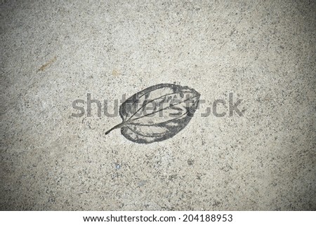 The Imprint leaf on cement floor background